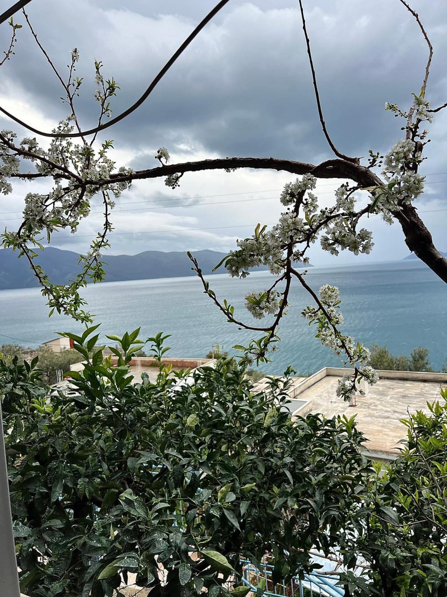 Marisi House Leilighet Vlorë Eksteriør bilde